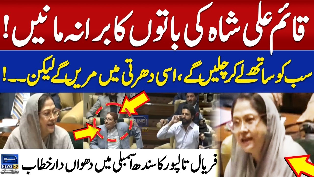 Faryal Talpur's Agressive Speech In Sindh Assembly | Suno News HD