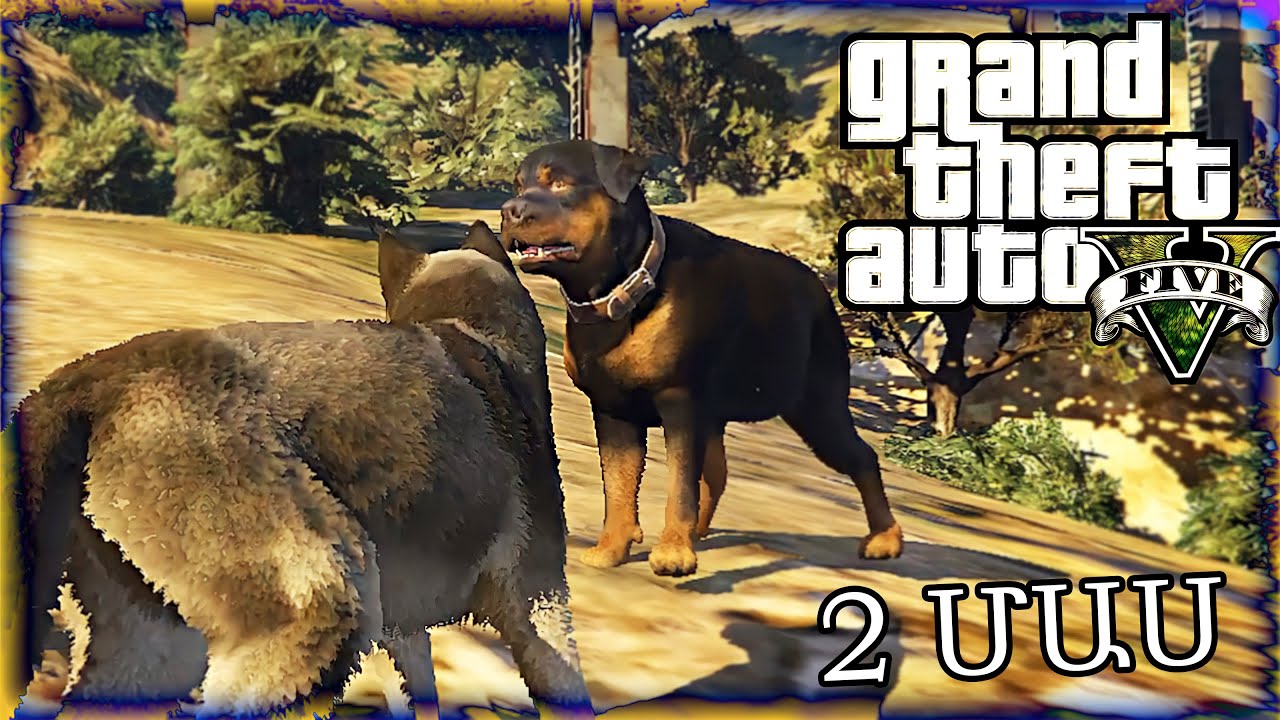 ԴԱՐՁԵԼ ԵՆՔ ՇՈՒՆ🐶😒 