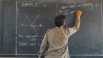 EXERCISE 3.1  LINES AND ANGLES