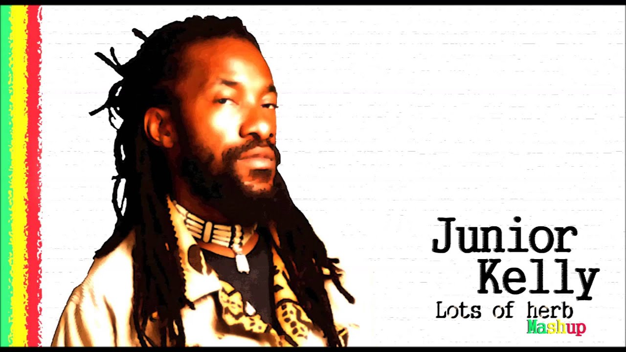 Junior Kelly - Lots of Herb Mix (Mushup) + Lyrics