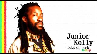 Junior Kelly - Lots of Herb Mix (Mushup) + Lyrics