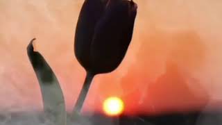 Ax Pışte Te Yar Türkçe Çeviri