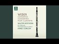 Miniature de la vidéo de la chanson Clarinet Concerto No. 1 In F Minor, Op. 73: Ii. Adagio Ma Non Troppo