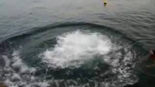 tuffo da una roccia altissima....PAZZESCO!!!