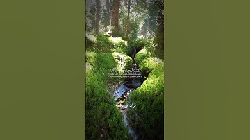 قران كريم ارح قلبك وسمعك #قران_في_دقيقة #quran #اسلام_صبحي #قرآن @قران_في_دقيقة