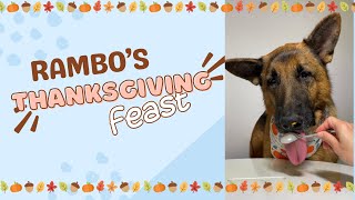 Dog Eating ASMR - Thanksgiving Edition by Meet the Chows 415 views 5 months ago 1 minute, 45 seconds