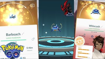 Barboach Evolves into Whiscash | lucky Barboach | Pokémon Go