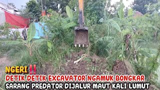Download Lagu NGERI‼️DETIK DETIK EXCAVATOR NGAMUK BONGKAR SARANG PREDATOR DIJALUR MAUT KALI LUMUT MP3 Download Lagu NGERI‼️DETIK DETIK EXCAVATOR NGAMUK BONGKAR SARANG PREDATOR DIJALUR MAUT KALI LUMUT MP3