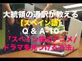 スペイン語 Q&A-10「スペイン語アニメ/ドラマを見つける方法」 / 大統領の通訳が教えるスペイン語