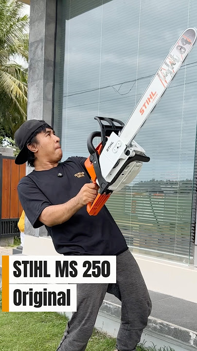 Original STIHL MS 250 Senso Sound