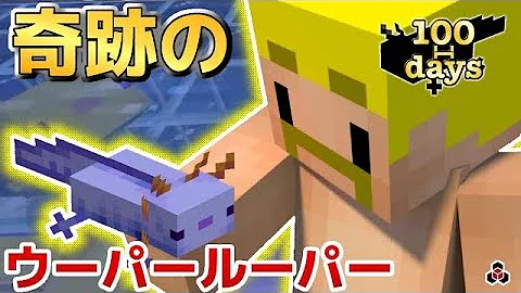 ウーパールーパーマイクラドズル