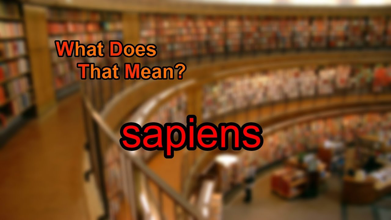 What Does Sapiens Mean YouTube What Does Sapiens Mean YouTube