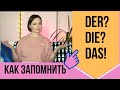 КАК ЗАПОМНИТЬ / ОПРЕДЕЛИТЬ АРТИКЛЬ в немецком языке? A1 - A2 артикли в немецком языке