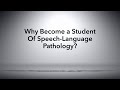 Why Become a Student of Speech-Language Pathology?(Aud.Tewfiq Siliman Herini - Erbil-Kurdistan)) tewfiqsiliman@yahoo.com 009647504485973