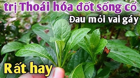 Bài thuốc trị Thoái hóa đốt sống Cổ, đau mỏi vai gáy. PHAN HẢI Channel