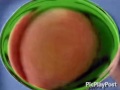 Youtube Thumbnail ZooPals In G Major 74^6