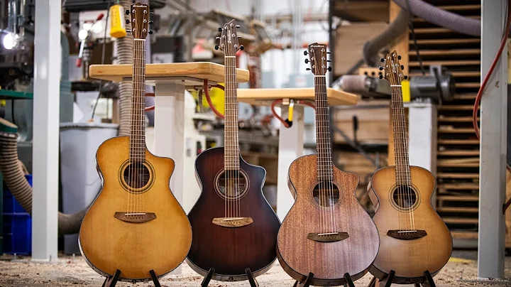 Behind the Breedlove Organic Collection Acoustic Guitars