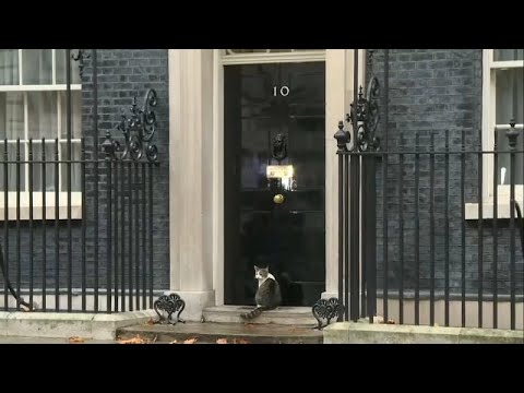 La razón por la que el gato de May acaparó todas las miradas en Downing Street