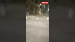 Αγριογούρουνο έκανε βόλτα στην Άνω Πόλη Θεσσαλονίκης