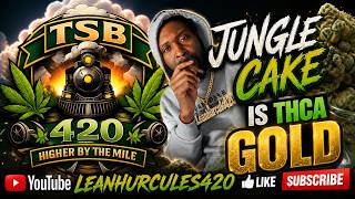 Jungle Cake THCA Small Buds | Is This Gold? #thcasmallbuds #thcareview #thcaflower