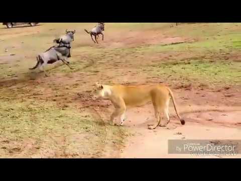 Téléchargement gratuit Images Akhir Kab Jagega Tu Uth Ja Youtube actualisé par