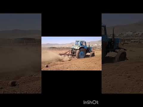Сезон пахоты (1).#россия,#пахота,#shorts,#чиндалей,#мтз80,#плуг,#мтз,#посадкакартофеля,#трактор,#топ