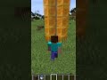 funny video of minecraft #short