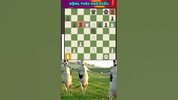 bạn có hiểu được nước đi này không. chess brilliant #chess #covualogic