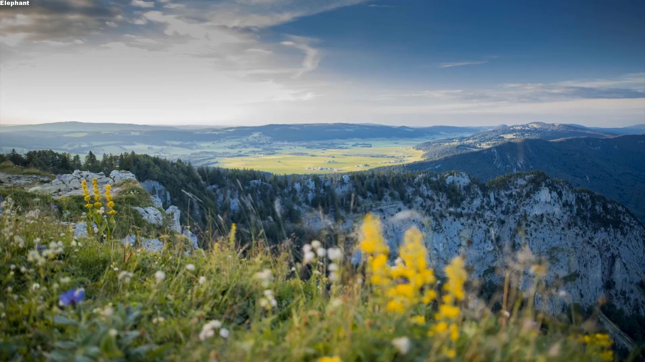 Nhạc chữa bệnh cho tinh thần thoải mái ☁ Nhạc Piano Thư Giãn, Nhạc Giảm Căng Thẳng