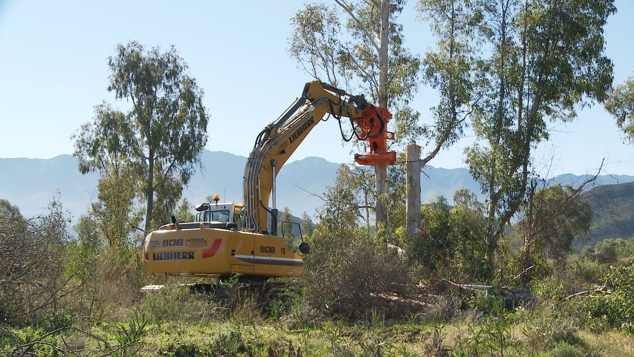 WESTTECH Woodcracker in South Africa