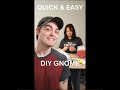 5 Second DIY Gnome #shorts