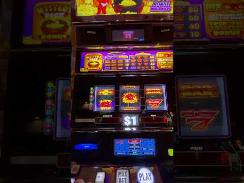 Coming Soon New Video Seminole Hard Rock Hotel & Casino Hollywood Fl