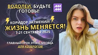 видео: ВОДОЛЕЙ ♒️: ТОТАЛЬНАЯ ФИНАНСОВАЯ ПЕРЕЗАГРУЗКА. Гороскоп на сентябрь 2025 #прогноз #водолей #сентябрь картинка: ВОДОЛЕЙ ♒️: ТОТАЛЬНАЯ ФИНАНСОВАЯ ПЕРЕЗАГРУЗКА. Гороскоп на сентябрь 2025 #прогноз #водолей #сентябрь