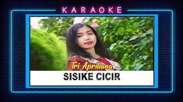 Tri Apriliana - Sisike Cicir  || Karaoke No Vocal || Kendang Kempul Banyuwangi