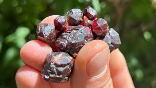 Holy Schist! Garnets!