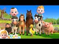 Moo moo  oink oink   animal sound song  nursery rhymes  kids songs  nunu tv