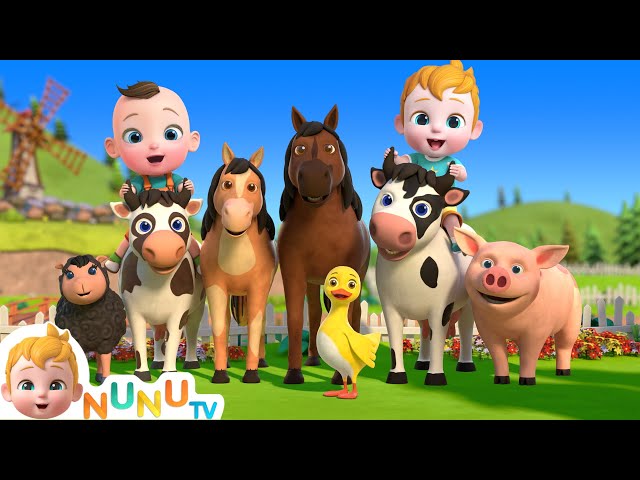 Moo Moo 🐄 Oink Oink ! 🐷 Animal Sound Song | Nursery Rhymes & Kids Songs | NuNu Tv class=