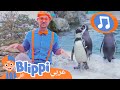 أغنية البطريق أغاني الأطفال برنامج بليبي التعليمي Penguin Song Blippi بليبي بالعربي 