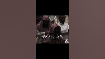 وقل ربي اعوذ بك من همزات الشياطين - سورة المؤمنون - محمد اللحيدان
