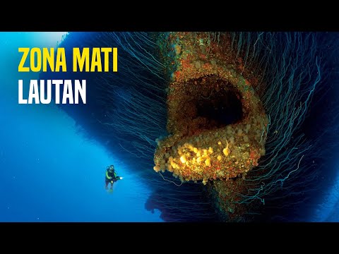 Video: Apa yang terjadi di zona mati?