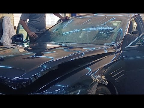 GENESIS G80 Ppf Installation And Window Tint - YouTube