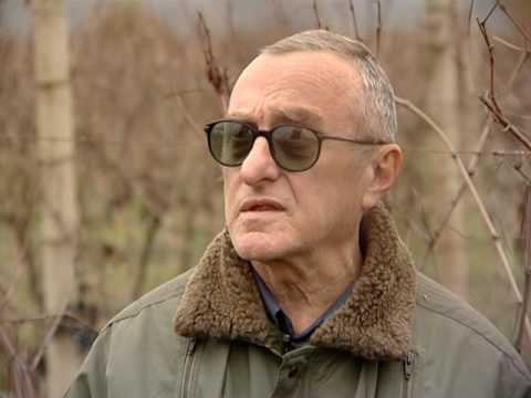 იემ ტექნოლოგიები