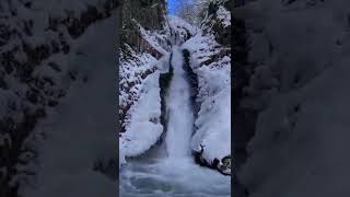 Şelale Efsane Abone Ol, Doğada Ol