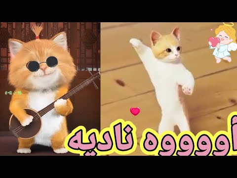 اغنية نادية الحلوة اغنية باسم ناديه نادية السعودية الكويت ابوظبي تركيا العراق لجزائر الرياض جده دبي