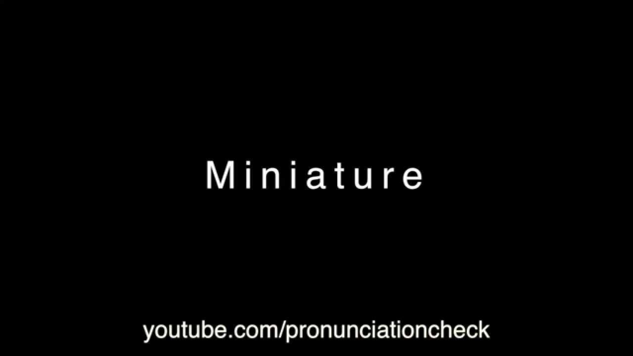 How To Pronounce Miniature YouTube