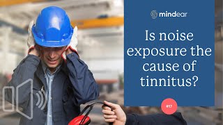 Noise Exposure and Tinnitus: Protecting Your Hearing Health