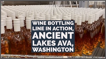 The Essentials of Bottling Wine