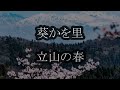 葵かを里 立山の春 カラオケ