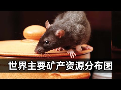 世界主要矿产资源分布图（煤、石油、天然气、金、银、铜、铁、铝、铅、锌、钼）