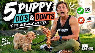 Puppy Training For The HUMAN- 5 Puppy Do's & Don'ts